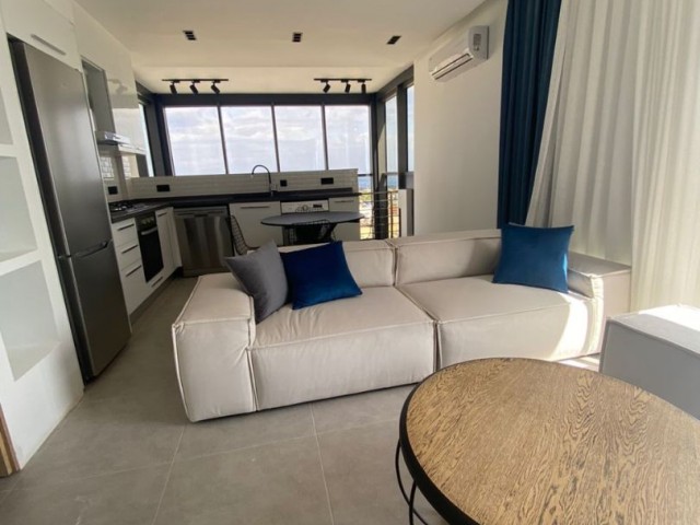 3+1 FULL EŞYALI 30 M2 BALKONLU DUBLEKS PENTHOUSE ( TÜRK koçan)