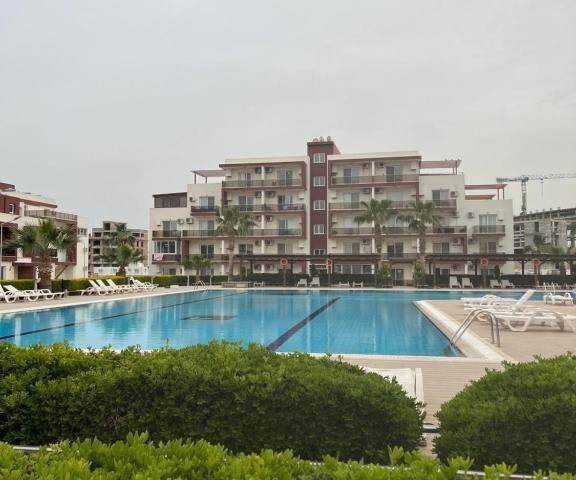 1+1 apartment in Royal sun for rent