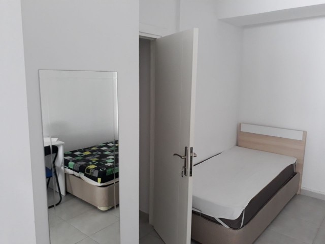 MITERED STUDIO APARTMENTS FOR RENT !! (ONLY FOR FEMALE STUDENT) ** 