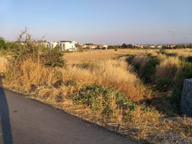 Turkish title deed plot of land for sale directly from the owner (Hasan: 0044-0-7807700970) in sought after Kyrenia-Bogaz area. The size of the plot is 3847 m2 and located at the edge of Asok Villas. The parameter of the plot has road access . Interested buyers please contact Hasan or Huseyin