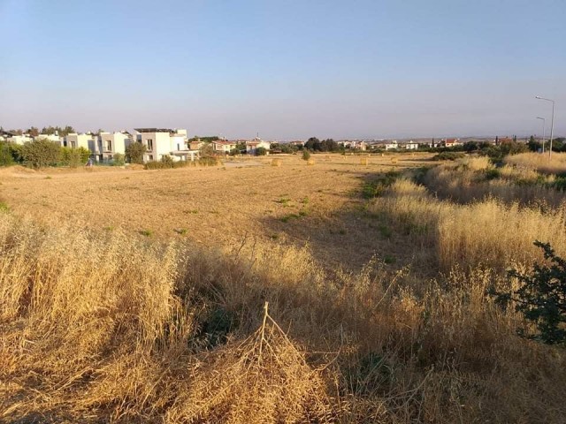 Turkish title deed plot of land for sale directly from the owner (Hasan: 0044-0-7807700970) in sought after Kyrenia-Bogaz area. The size of the plot is 3847 m2 and located at the edge of Asok Villas. The parameter of the plot has road access . Interested buyers please contact Hasan or Huseyin