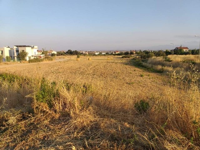 Turkish title deed plot of land for sale directly from the owner (Hasan: 0044-0-7807700970) in sought after Kyrenia-Bogaz area. The size of the plot is 3847 m2 and located at the edge of Asok Villas. The parameter of the plot has road access . Interested buyers please contact Hasan or Huseyin