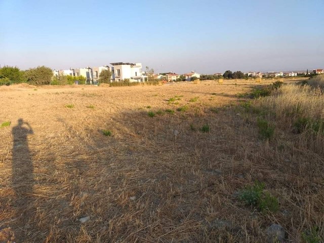 Turkish title deed plot of land for sale directly from the owner (Hasan: 0044-0-7807700970) in sought after Kyrenia-Bogaz area. The size of the plot is 3847 m2 and located at the edge of Asok Villas. The parameter of the plot has road access . Interested buyers please contact Hasan or Huseyin