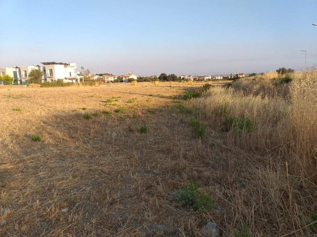 Turkish title deed plot of land for sale directly from the owner (Hasan: 0044-0-7807700970) in sought after Kyrenia-Bogaz area. The size of the plot is 3847 m2 and located at the edge of Asok Villas. The parameter of the plot has road access . Interested buyers please contact Hasan or Huseyin