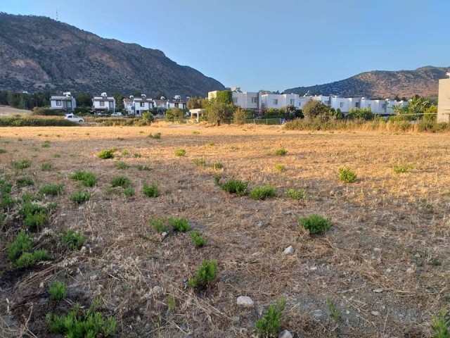 Turkish title deed plot of land for sale directly from the owner (Hasan: 0044-0-7807700970) in sought after Kyrenia-Bogaz area. The size of the plot is 3847 m2 and located at the edge of Asok Villas. The parameter of the plot has road access . Interested buyers please contact Hasan or Huseyin