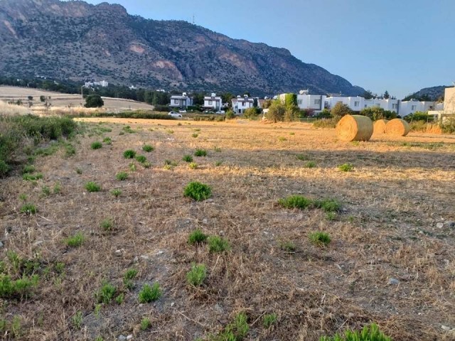 Turkish title deed plot of land for sale directly from the owner (Hasan: 0044-0-7807700970) in sought after Kyrenia-Bogaz area. The size of the plot is 3847 m2 and located at the edge of Asok Villas. The parameter of the plot has road access . Interested buyers please contact Hasan or Huseyin