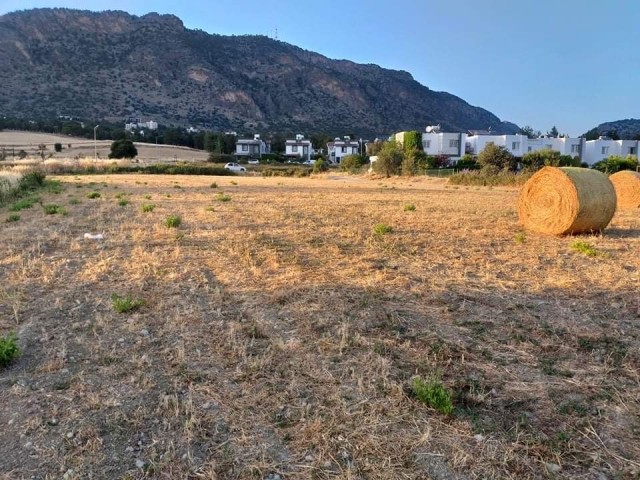 Turkish title deed plot of land for sale directly from the owner (Hasan: 0044-0-7807700970) in sought after Kyrenia-Bogaz area. The size of the plot is 3847 m2 and located at the edge of Asok Villas. The parameter of the plot has road access . Interested buyers please contact Hasan or Huseyin