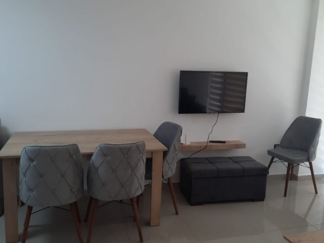 SIFIR EŞYALI 1+1 DAİRE (BARIŞ PARK YANINDA)