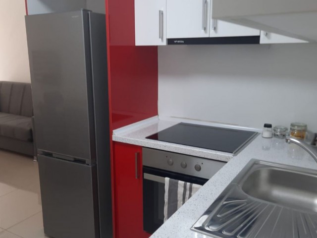 SIFIR EŞYALI 1+1 DAİRE (BARIŞ PARK YANINDA)