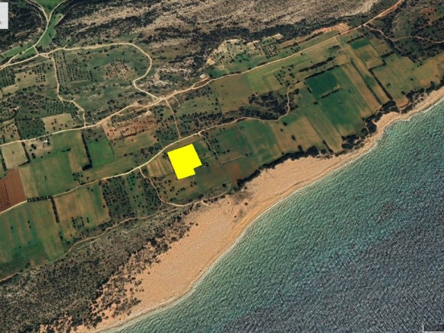 FIELD FOR SALE IN İSKELE KUMYALI