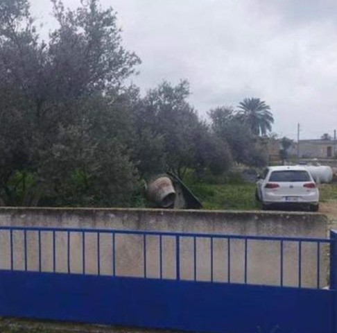 IM DORF GÖNENDERE GIBT ES 20 OLIVENBÄUME UND EINEN WASSERBRUNNEN IM 3+1 TÜRKISCHEN KOÇANLI, GROSSER GARTENGARTEN.