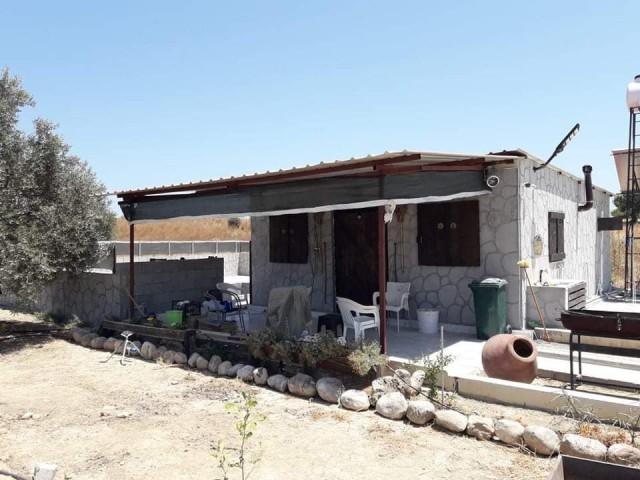 TRADITIONAL CYPRIOT HOUSE IN THE VILLAGE OF TUZLUCA ** 