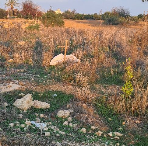 ساختمان ناتمام برای فروش in Kuzucuk, ایسکله