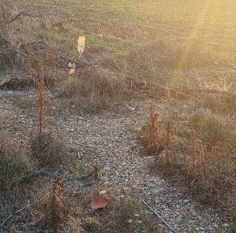 3+1 2 STOCKWERK ROHBAU MIT STAHLKONSTRUKTION PROJEKT ZUM VERKAUF IN KUZUCUK DORF