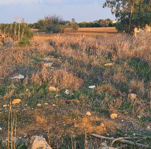 3+1 2 STOCKWERK ROHBAU MIT STAHLKONSTRUKTION PROJEKT ZUM VERKAUF IN KUZUCUK DORF