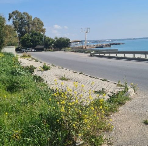 ALS GEWERBEGEBIET AUSGEWIESENES GRUNDSTÜCK MIT MEER- UND HAUPTSTRASSENFRONT