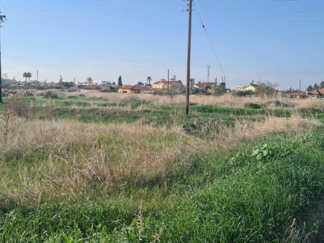 LAND SUITABLE FOR BUILDING A TURKISH KOÇANLI HOUSE FOR SALE IN BEYARMUDU VILLAGE