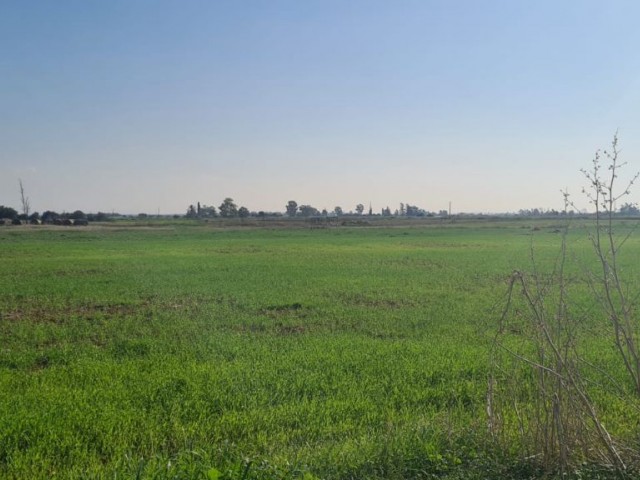 فروش زمین مناسب برای ساخت خانه ترکی کوچانلی در روستای بیارمودو