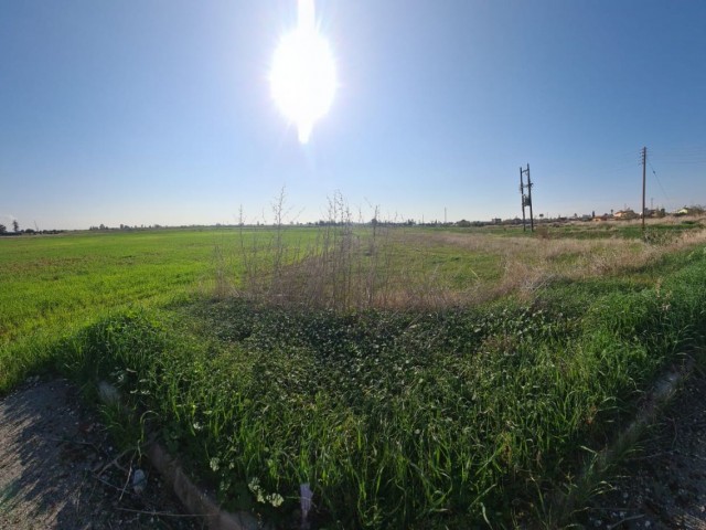 فروش زمین مناسب برای ساخت خانه ترکی کوچانلی در روستای بیارمودو