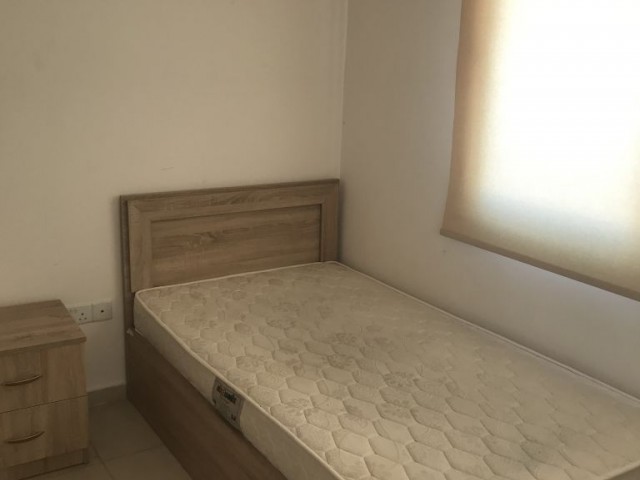 Flat To Rent in Hamitköy, Nicosia