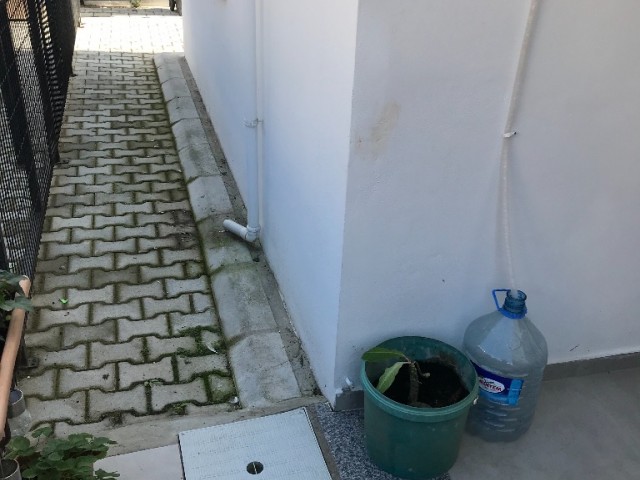 Eben Kaufen in Gönyeli, Nikosia