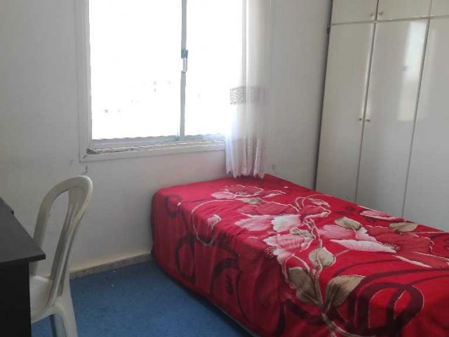 3+1 flat for rent in metehan 