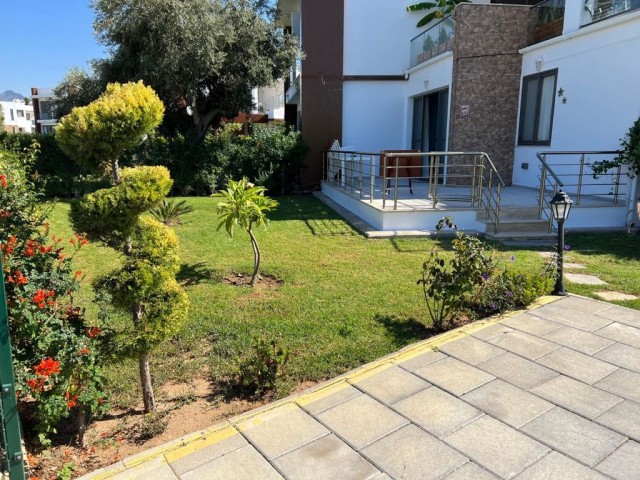 GROUND FLOOR APARTMENT WITH SHARED POOL FOR RENT IN OLIVE GROVE ** 