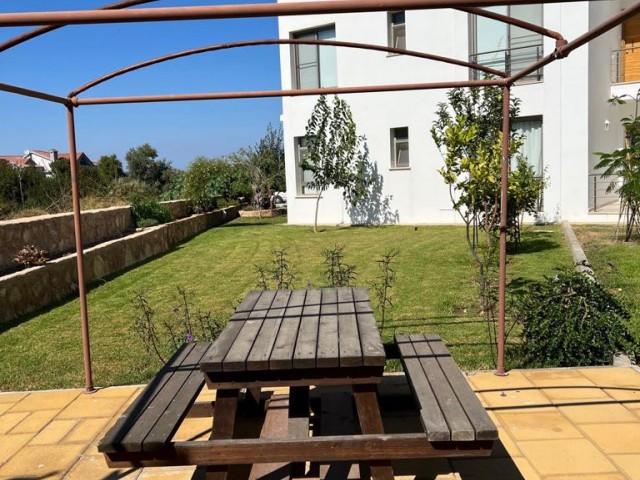 GROUND FLOOR APARTMENT WITH SHARED POOL FOR RENT IN OLIVE GROVE ** 