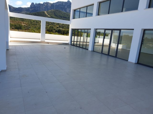 Business To Rent in Girne Merkez, Kyrenia