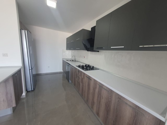 3 bedroom penthouse apartment for rent in Kyrenia Center / Dublex