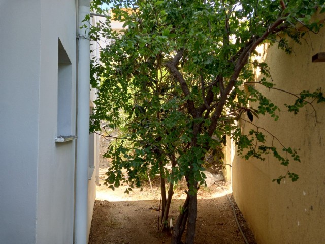 تخت برای اجاره in Alsancak, گیرنه