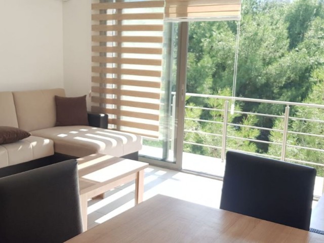 1 bedroom apartment for rent in Kyrenia Center