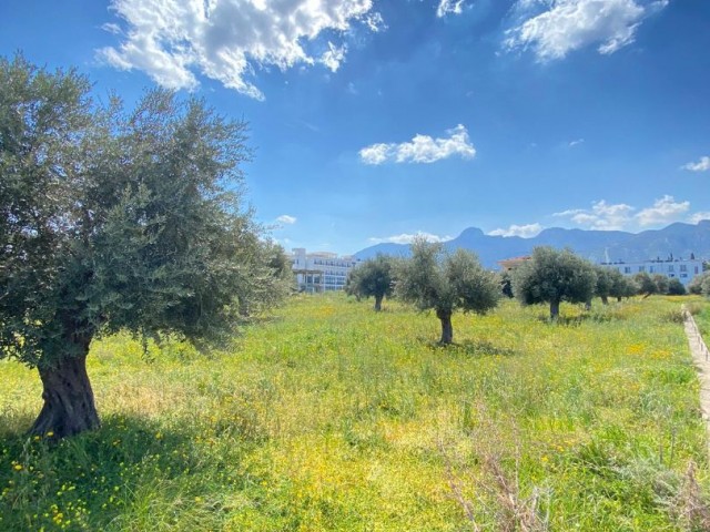 Girne Çatalköy Satılık Arsa / Dağ ve deniz manzaralı