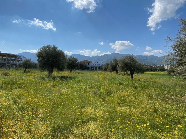 Grundstück zum Verkauf in Kyrenia Chatalköy / Berg-und Meerblick ** 