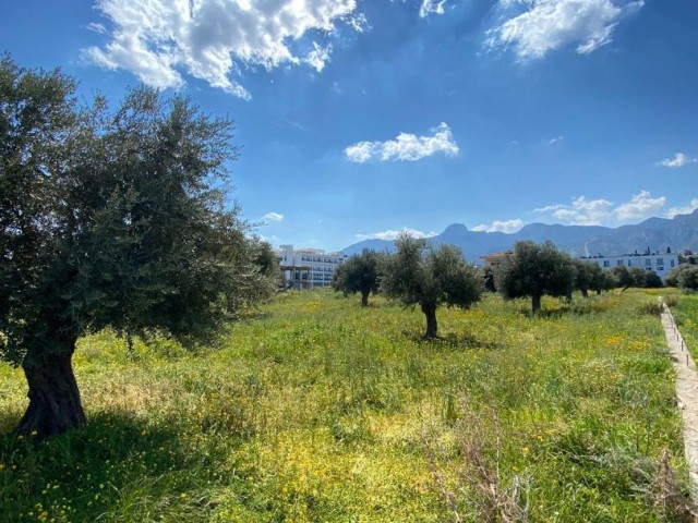 Grundstück zum Verkauf in Kyrenia Chatalköy / Berg-und Meerblick ** 