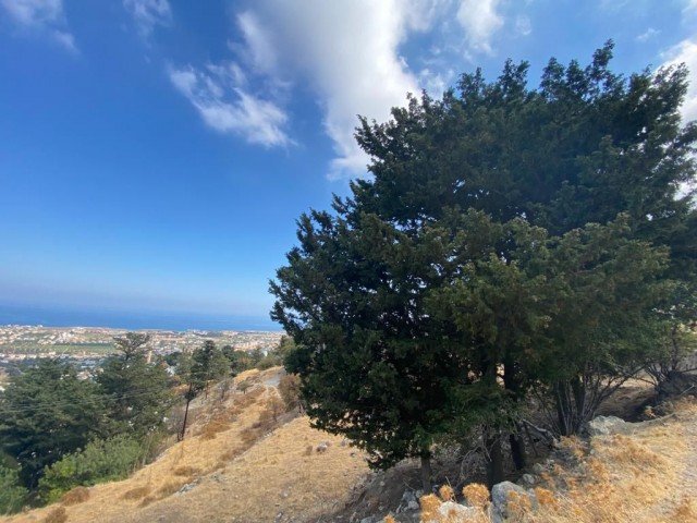 Girne Karşıyaka Satılık Arsa / Deniz Manzaralı