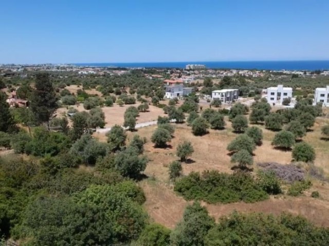 4 Acres of 3 Evlek Land for Sale in Kyrenia/Çatalköy