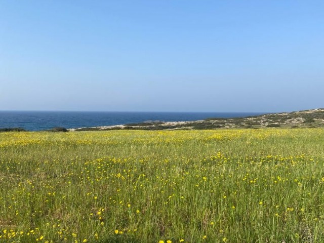 4 acres of land for sale in Gazimagusa/TATLISU, 150m from the sea