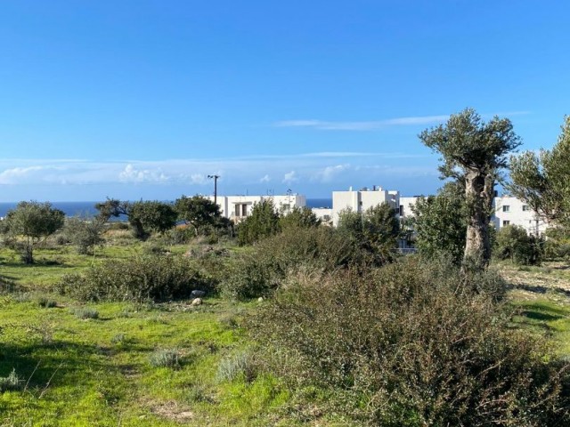 1989,42m2 land for sale in GIRNE/BAHÇELİ 