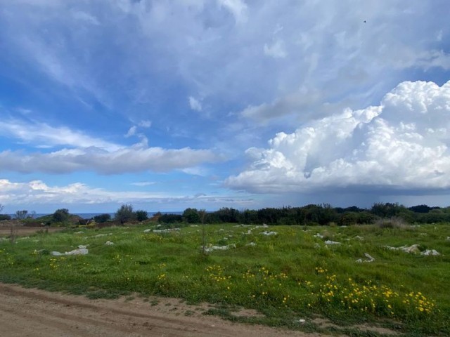 2 acres of 2 houses for sale in Girne/Karşıyaka