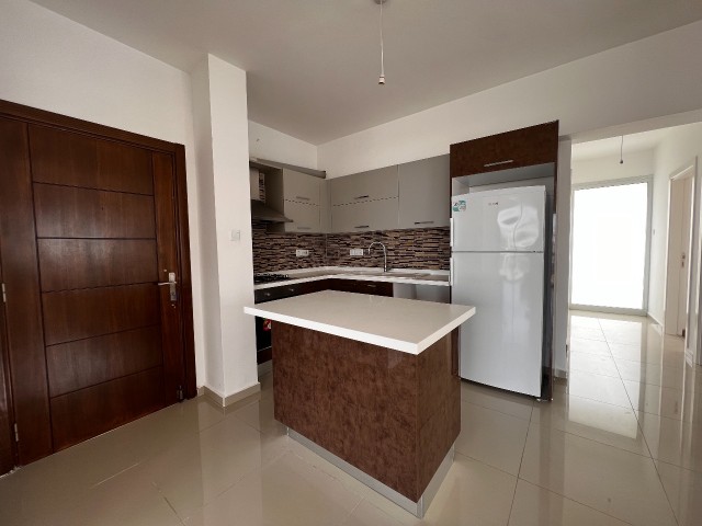 2+1 Stunning PENTHOUSE in Dereboyu