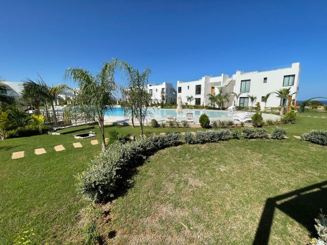 Immaculate 2 Bed Apartment with Pool view 