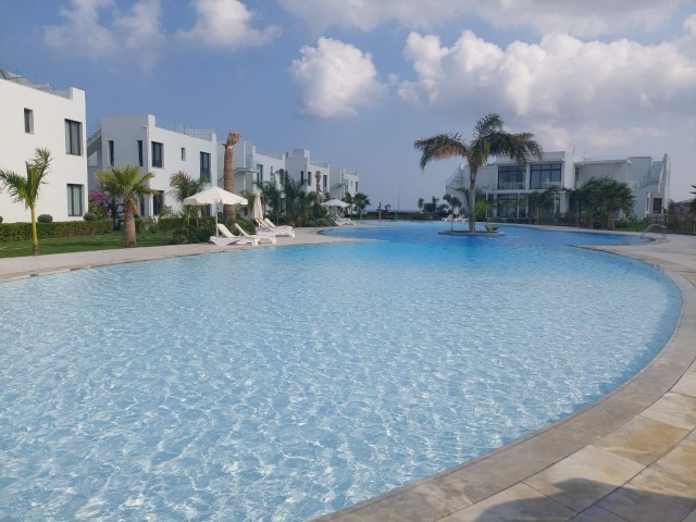 Immaculate 2 Bed Apartment with Pool view 