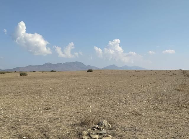 Ackerland zum Verkauf in Kyrenia/Dağyolu (fota)