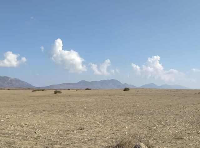 Agricultural land for sale in Kyrenia/Dağyolu (fota)