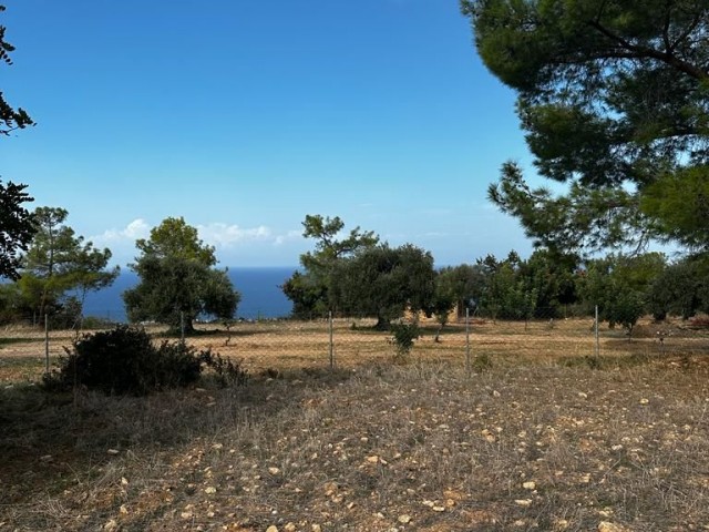 6 Hektar 1 Evlek-Land zum Verkauf in Girne/Karaağaç