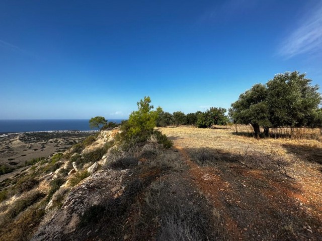 Kyrenia Karaağaç Land zum Verkauf / Meerblick