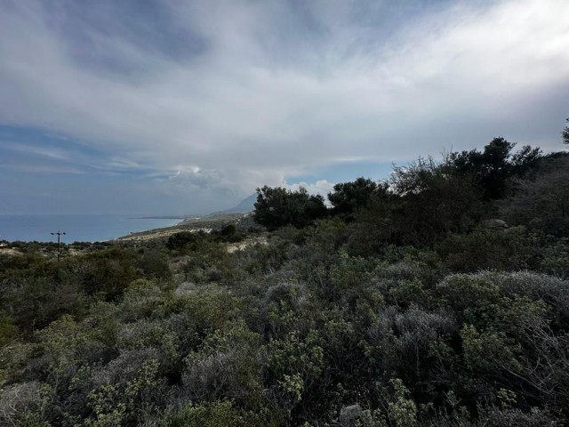 18400m2 land for sale with magnificent sea view in Kyrenia/Kayalar