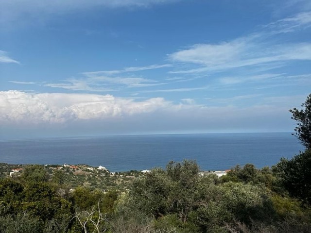 18400m2 land for sale with magnificent sea view in Kyrenia/Kayalar