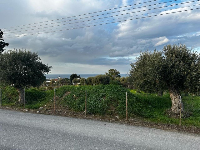 3382m2 land with Turkish title for sale in GİRNE/OZANKÖY